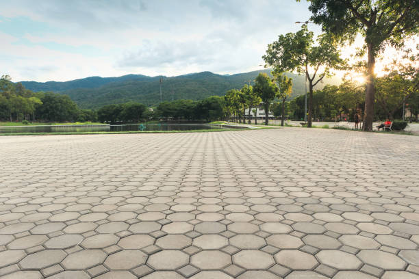 Best Commercial Driveway Pavers  in Seeley Lake, MT