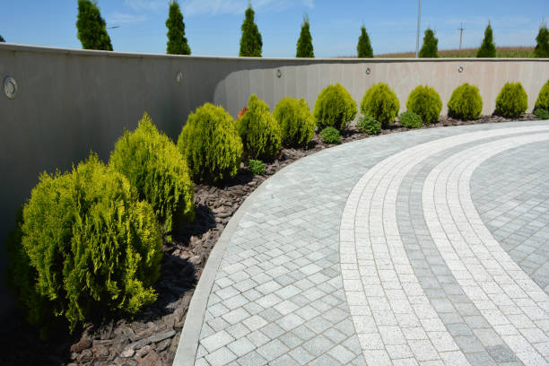 Best Residential Paver Driveway  in Seeley Lake, MT